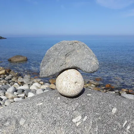 Il Timo * Marciana (Isola d'Elba)