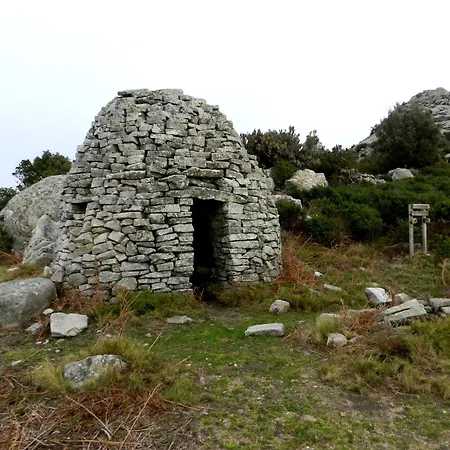 Il Timo Marciana (Isola d'Elba)