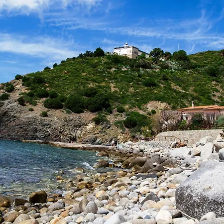 Il Timo Marciana (Isola d'Elba)