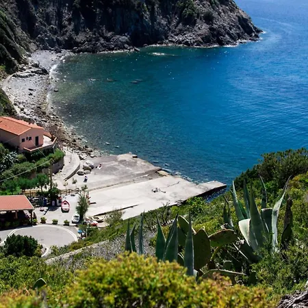 Il Timo Marciana (Isola d'Elba)