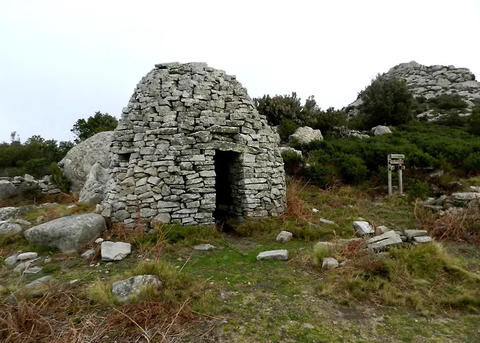 Il Timo Marciana (Isola d'Elba)