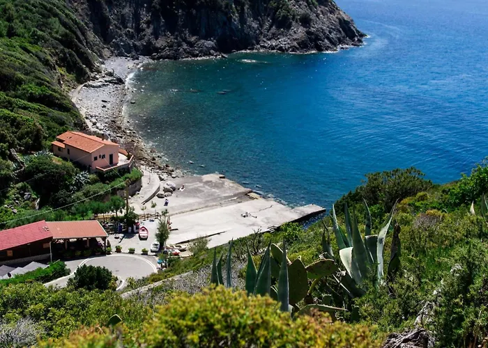 Il Timo Marciana (Isola d'Elba)